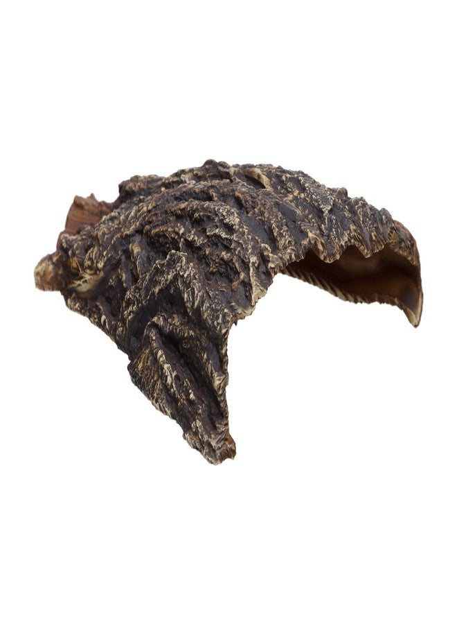 Plecoceramics كهف حوض السمك من السيراميك - ديكور حوض سمك بيتا من السيراميك - ديكور حوض سمك طبيعي - مخبأ كبير للزواحف - مخبأ كهف للأسماك - مخبأ للثعابين - كهف لأسماك السيكلد والبليكو (كهف) - Image 2